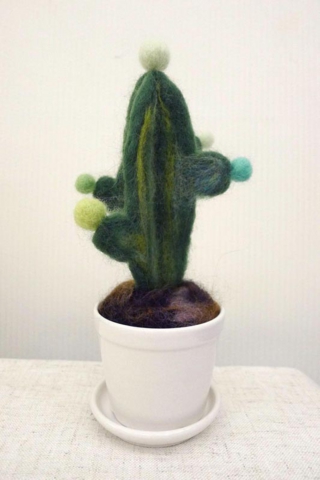 cactus_4.jpg